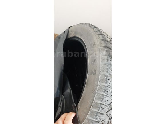 LASSA ICEWAY2