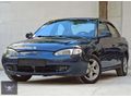 PARKGARAJ DAN 1.8 GLS ELENTRA