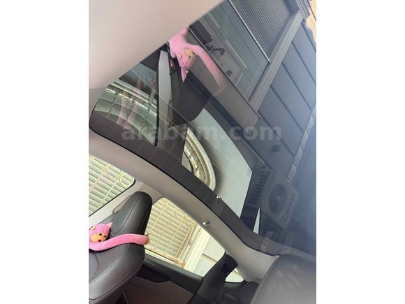 Sahibinden Tesla Model Y Premium (Juniper) 2025 Model 
