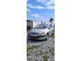 DEĞİŞENSİZ ÖZEL PLAKALI PEUGEOT