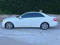 CAM TAVANLI E220 CDI