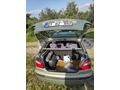 İlk elden 2001 megane