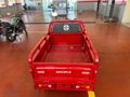 NAKİTE ÖZEL ARORA NAVARA NEW