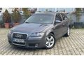 Sahibinden Audi A3 Sportback 1.6 Ambition 2004 Model 