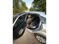 Sahibinden Fiat Linea 1.3 Multijet Active 2010 Model  270 km Gri