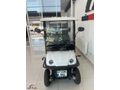 2024 MODEL ARORA POLO PLUS