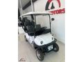 2024 MODEL ARORA POLO PLUS