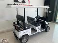 2024 MODEL ARORA POLO PLUS