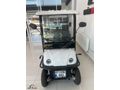 2024 MODEL ARORA POLO PLUS