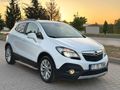 HATASIZ BOYASIZ TC PİLAKALI BAKIMLI OPEL MOKKO