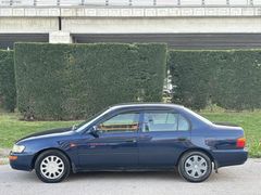 Klimalı Ön Camlar Otomatik Muayne Yeni Efsane Kasa