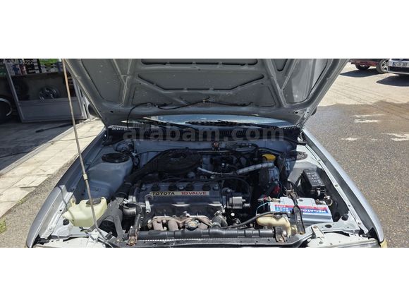 ORJİNAL FINDIK KASA 1.6 CAMM