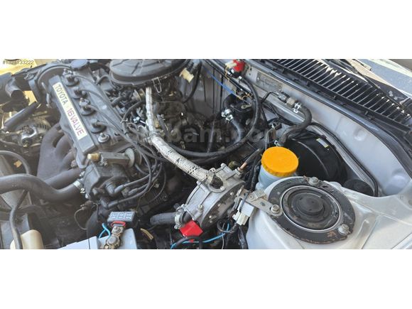 ORJİNAL FINDIK KASA 1.6 CAMM