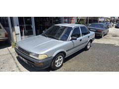 ORJİNAL FINDIK KASA 1.6 CAMM