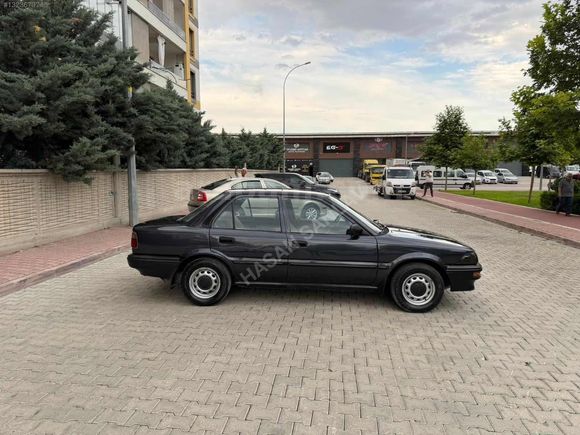 CAM GIBI FINDIK KASA