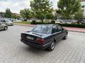 CAM GIBI FINDIK KASA