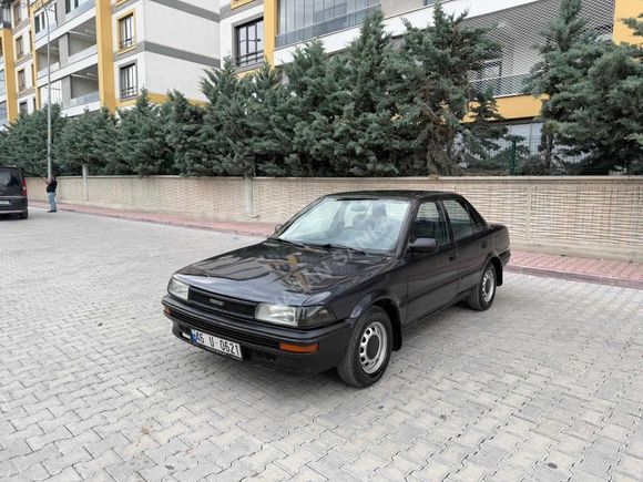 CAM GIBI FINDIK KASA