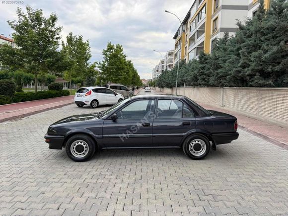 CAM GIBI FINDIK KASA