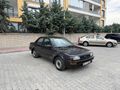 CAM GIBI FINDIK KASA