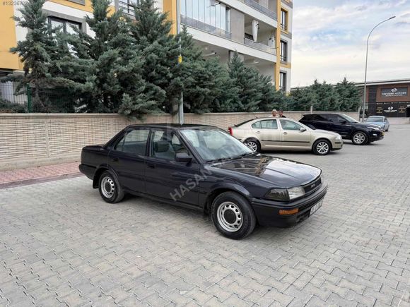 CAM GIBI FINDIK KASA