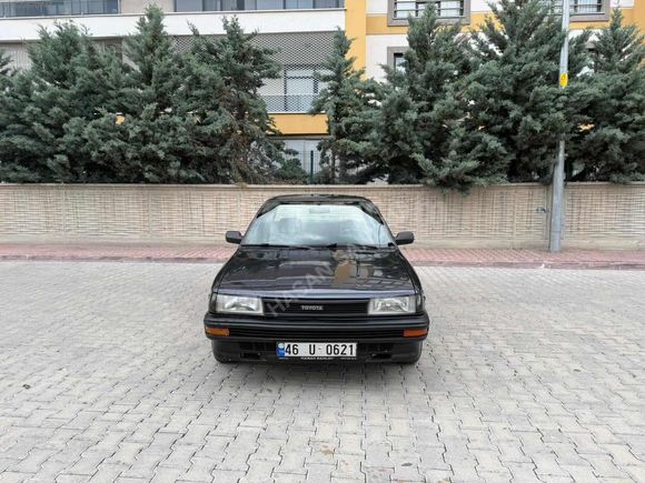 CAM GIBI FINDIK KASA