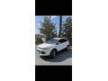 Sahibinden Ford Kuga 1.5 EcoBoost Selective 2015 Model 