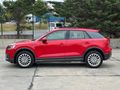 Q2 30 TFSI Design S-Tronic 1 kapı boya orjinal lasman cam tavan