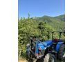 Sahibinden New Holland TT65 