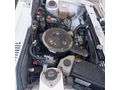 1993 MODEL SIFIR VİZELİ KARTAL