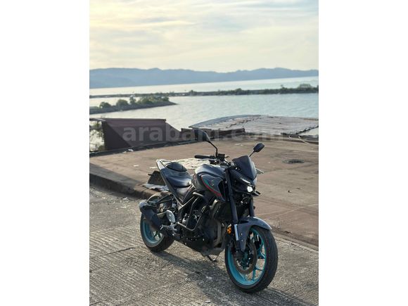 Sahibinden Yamaha MT 25 ABS 