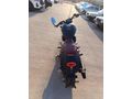 RD AUTO CP 250