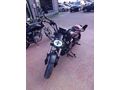 RD AUTO CP 250
