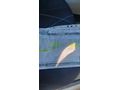 Sahibinden Renault Symbol 1.5 dCi Expression 2009 Model  318.000 km Gri