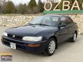 EFSANE KASA TOYOTA COROLLA