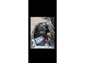 Sahibinden Renault Clio 1.4 RXT 2001 Model