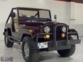 1976 JEEP CJ5 ÖZEL YAPIM UZUN ŞASİ EMSALSİZ