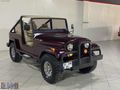 1976 JEEP CJ5 ÖZEL YAPIM UZUN ŞASİ EMSALSİZ