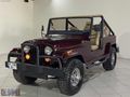 1976 JEEP CJ5 ÖZEL YAPIM UZUN ŞASİ EMSALSİZ