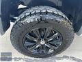 4x4 OTOMATİK AMAROK