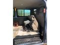Sahibinden Ford Transit 300 S 2008 Model