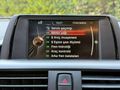 ARGEDEN 2016 DİZEL OTOMATİK BMW 116 D JOY PLUS SUNROOF