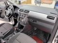 HATASIZ TERTEMİZ 2017 ÇIKIŞLI CADDY