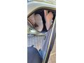 Sahibinden Hyundai Accent 1.5 1.5i GLS 2000 Model