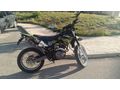 Sahibinden Kuba Black Cat