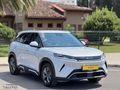 RT AUTODAN BYD ATTO 2
