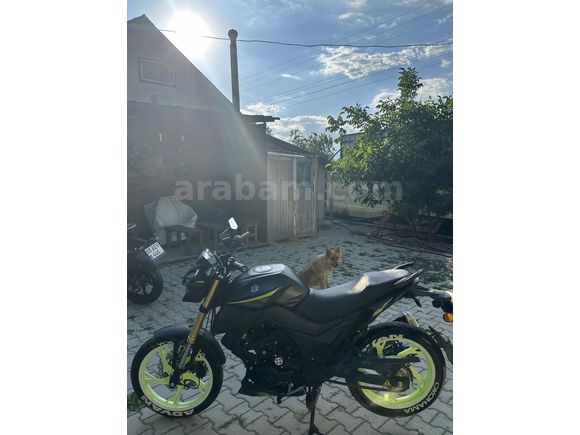 Sahibinden Arora MT 125 