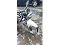 Sahibinden Kuba Çita 50 R 