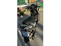 Sahibinden Kuba Pesaro 125 X 