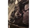 Honda Jazz 1.4 Fun PLUS OTOMATİK DEĞİŞENSİZ KARTA TAKSİT OLUR