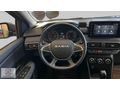 Sandero Stepway 1.0 TCE Expression CVT (40.000 KM)